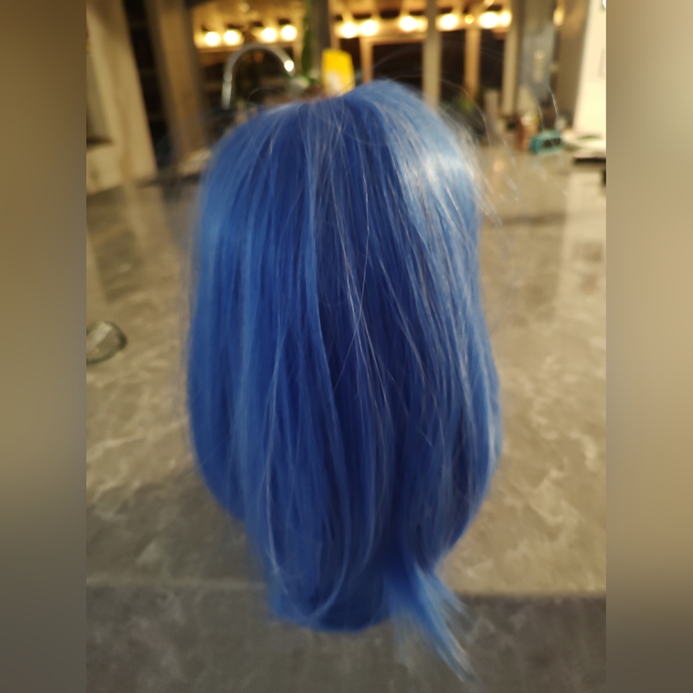 Pretty Blue Wig New with Hair Net